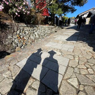 再び影ショット📷