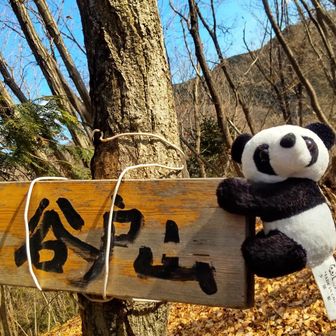 足利百名山140座目の谷戸山▲(やとやま)(ガイド山)
さよならパンダも🐼