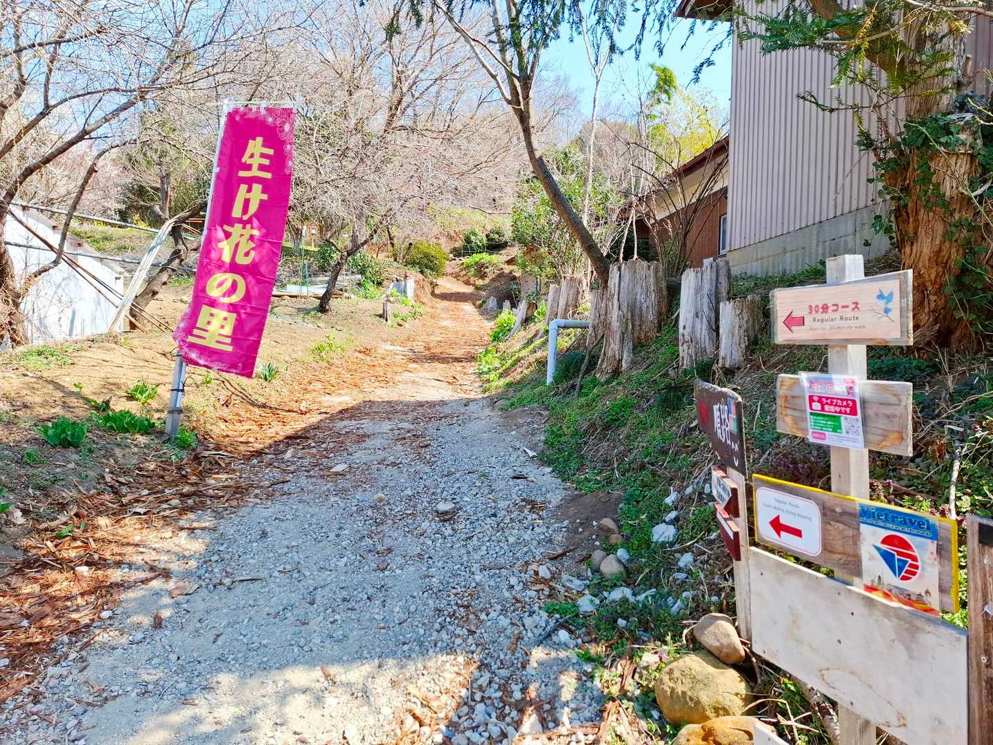 ここから🎵