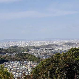 海の中道、マリンワールドが見えました👀
手前左下は、以前住んでた所😅