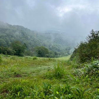 コンクリート道が終了するとさらにゲレンデ内を登ると左側から本格的な登山道が出てきます。