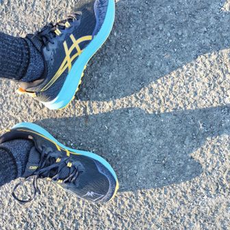 ユーザーココタン