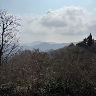 こちらで少し休憩です☕️今日のおやつはコーヒーゼリーでしたが写真撮り忘れた😅