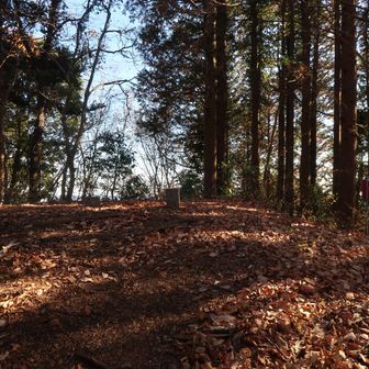展望台から20分程で鷹取山（424m）に到着。