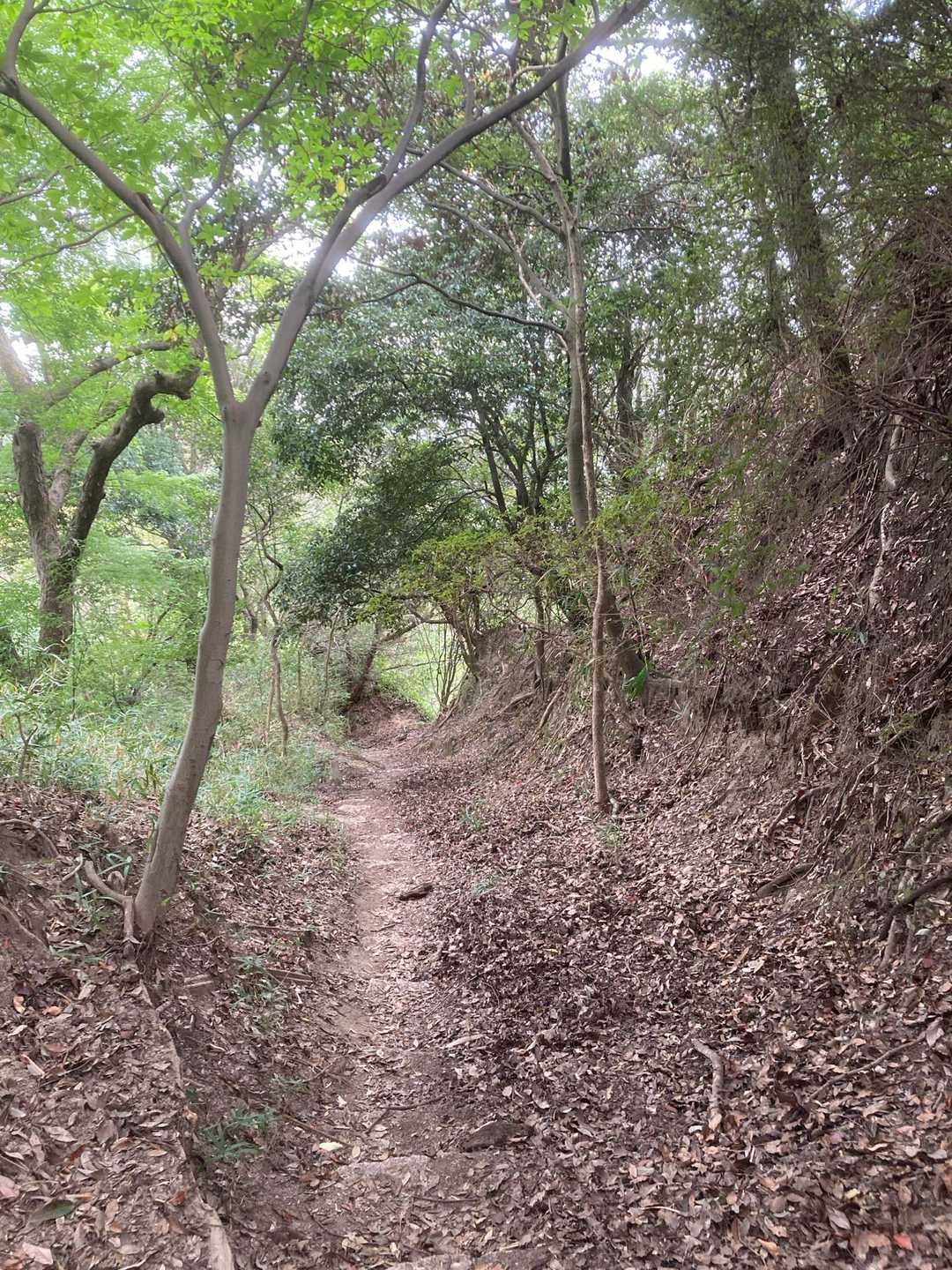 諏訪山経由で下山⛰️