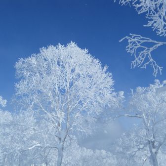 ともい　すみぞう