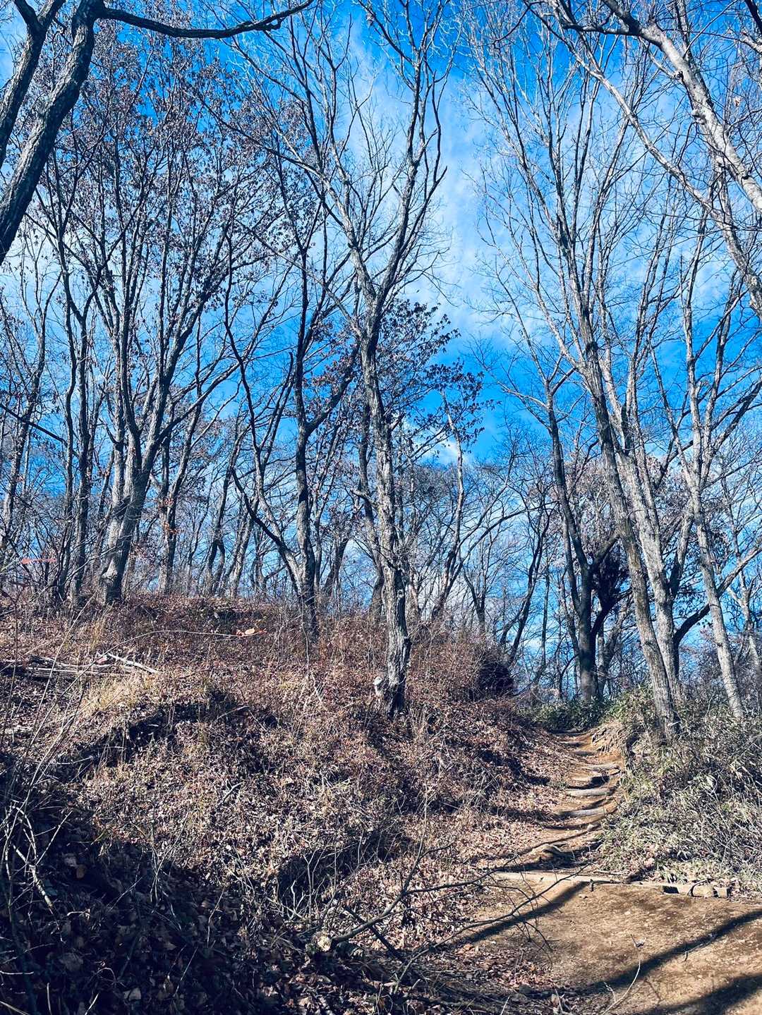 和田峠-陣馬山 周回コースの写真