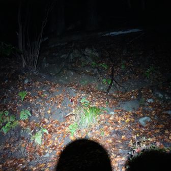 まだ秋感が残ってる。