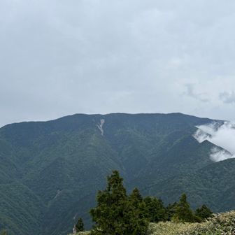 恵那山、想い出深い山となりました。
もう来ないかもしれないと思ったら
少し淋しくなりました。
あとから見たら🐉みたいな…