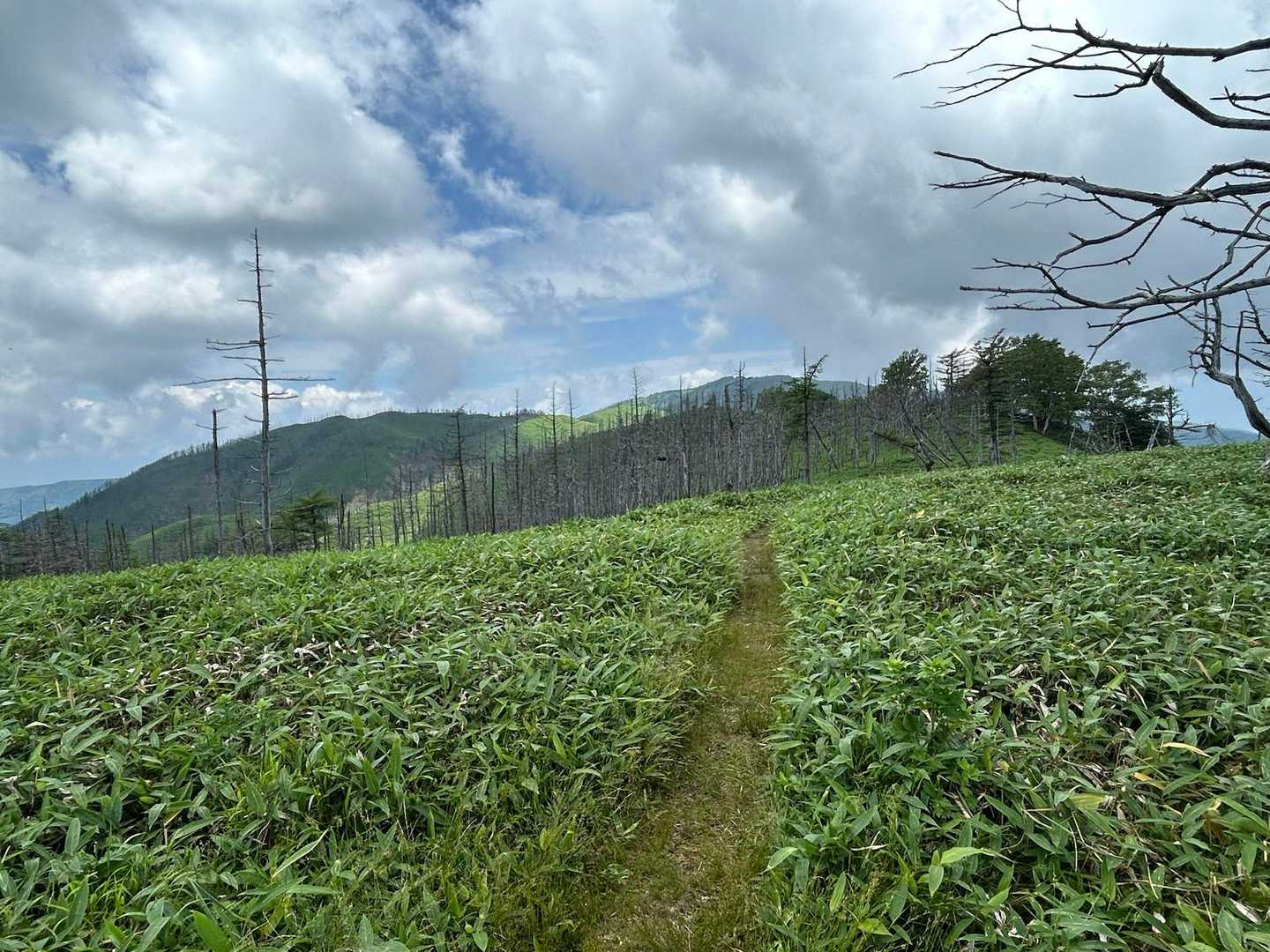 三峰山-二ッ山 往復コースの写真