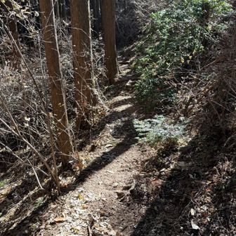 すれ違いできない狭さです