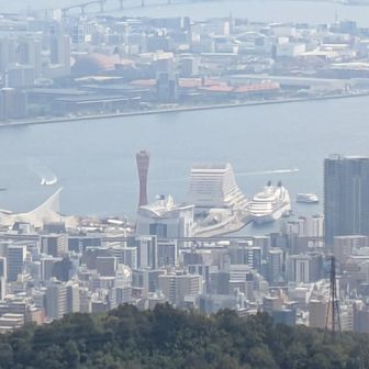 菊水山から見るボートタワーと港島
