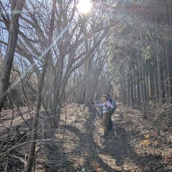 堂平山・笠山（乳房山）・大霧山 これから行く堂平山の山頂が目立ちます