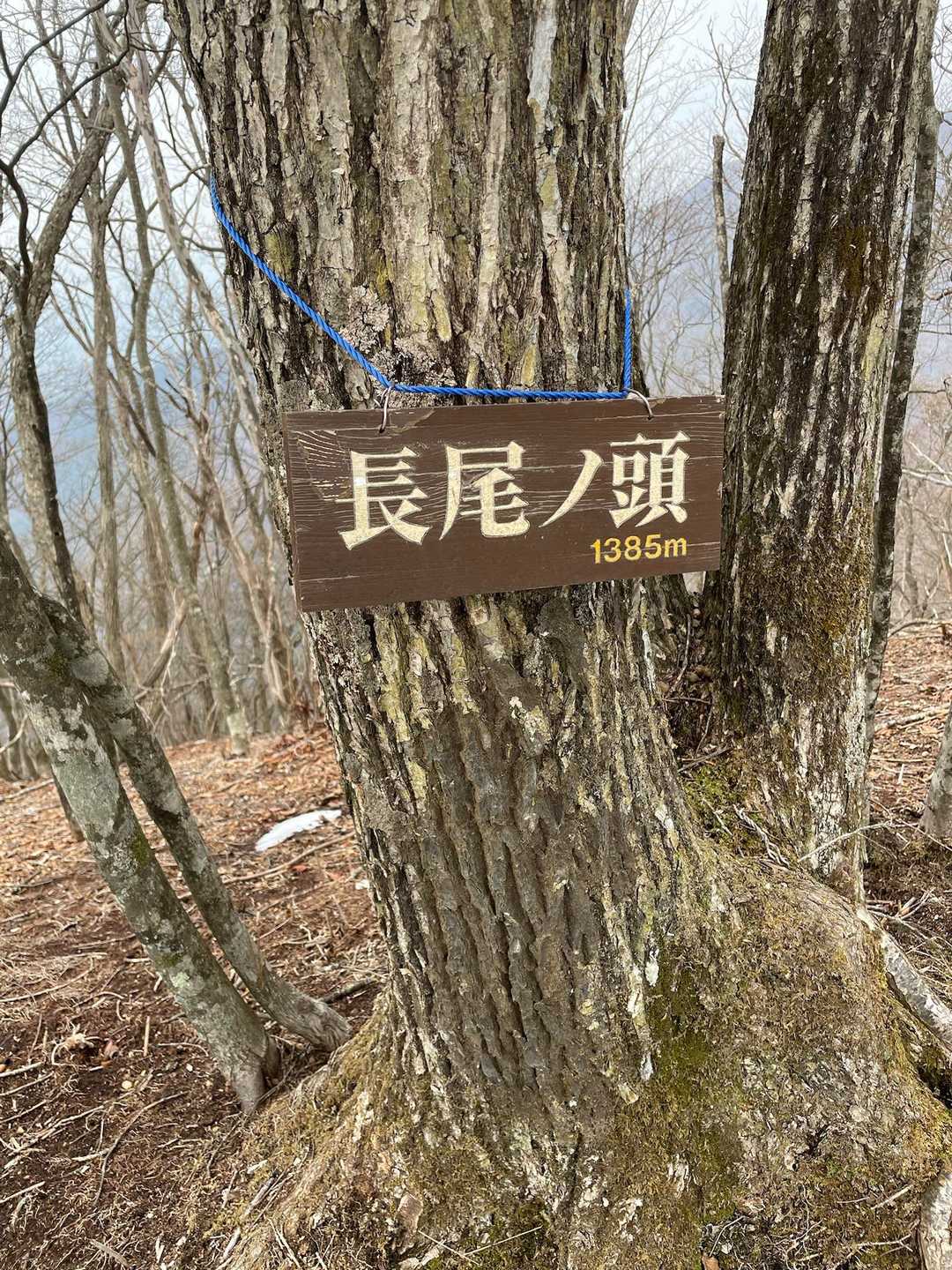 ②とーちゃく!