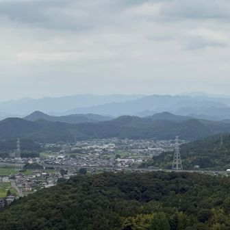 ズーム