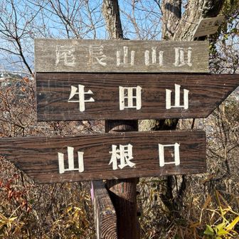 尾長山とうちゃこ