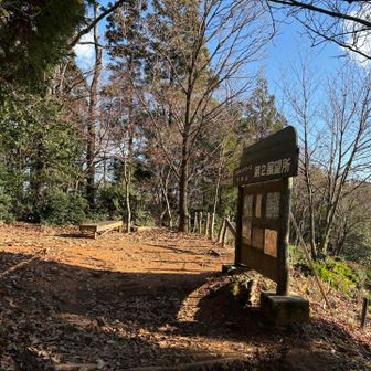 今度も約10分で第2展望所に到着