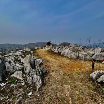野焼き後って...こんなに石灰石あったっけ⁇ってぐらいのすごい数が現れますね😳