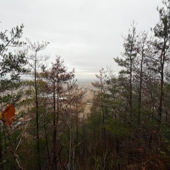 天気悪くなんも期待できん