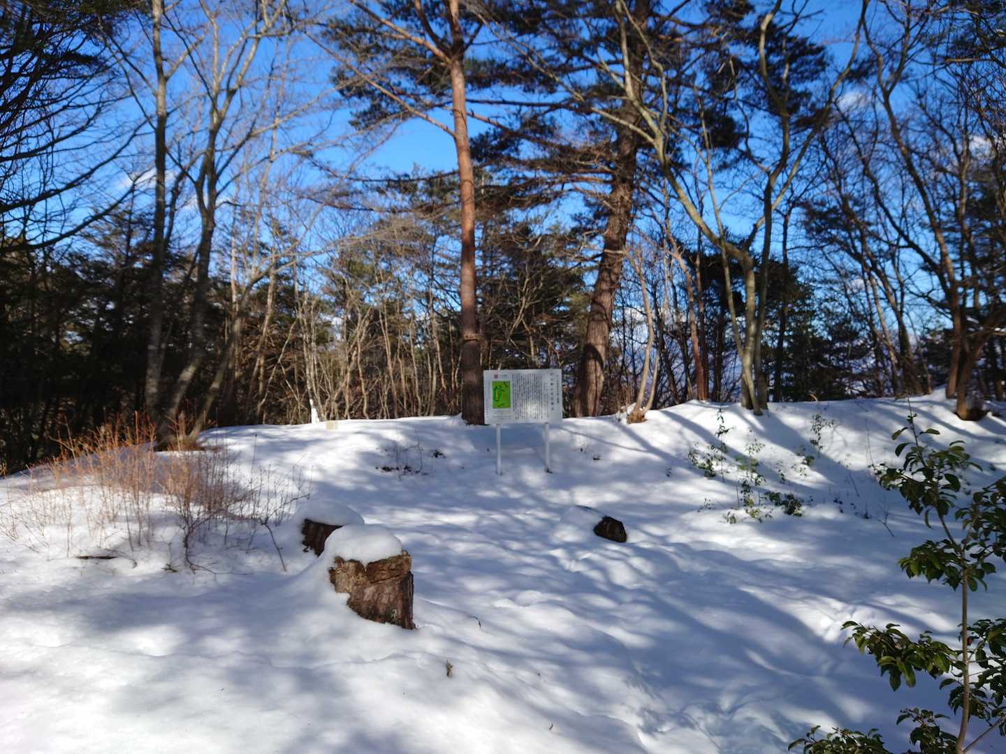 🐾をたどると山頂に着きました(笑)
