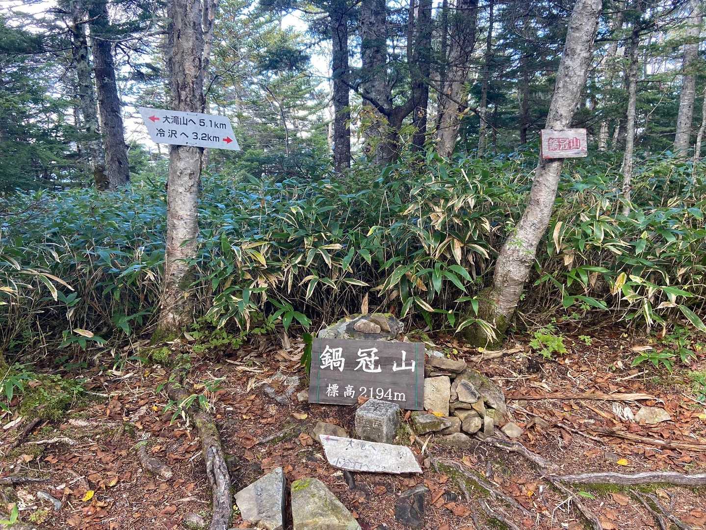 樹林帯なので、ここが山頂って感じでした😅
