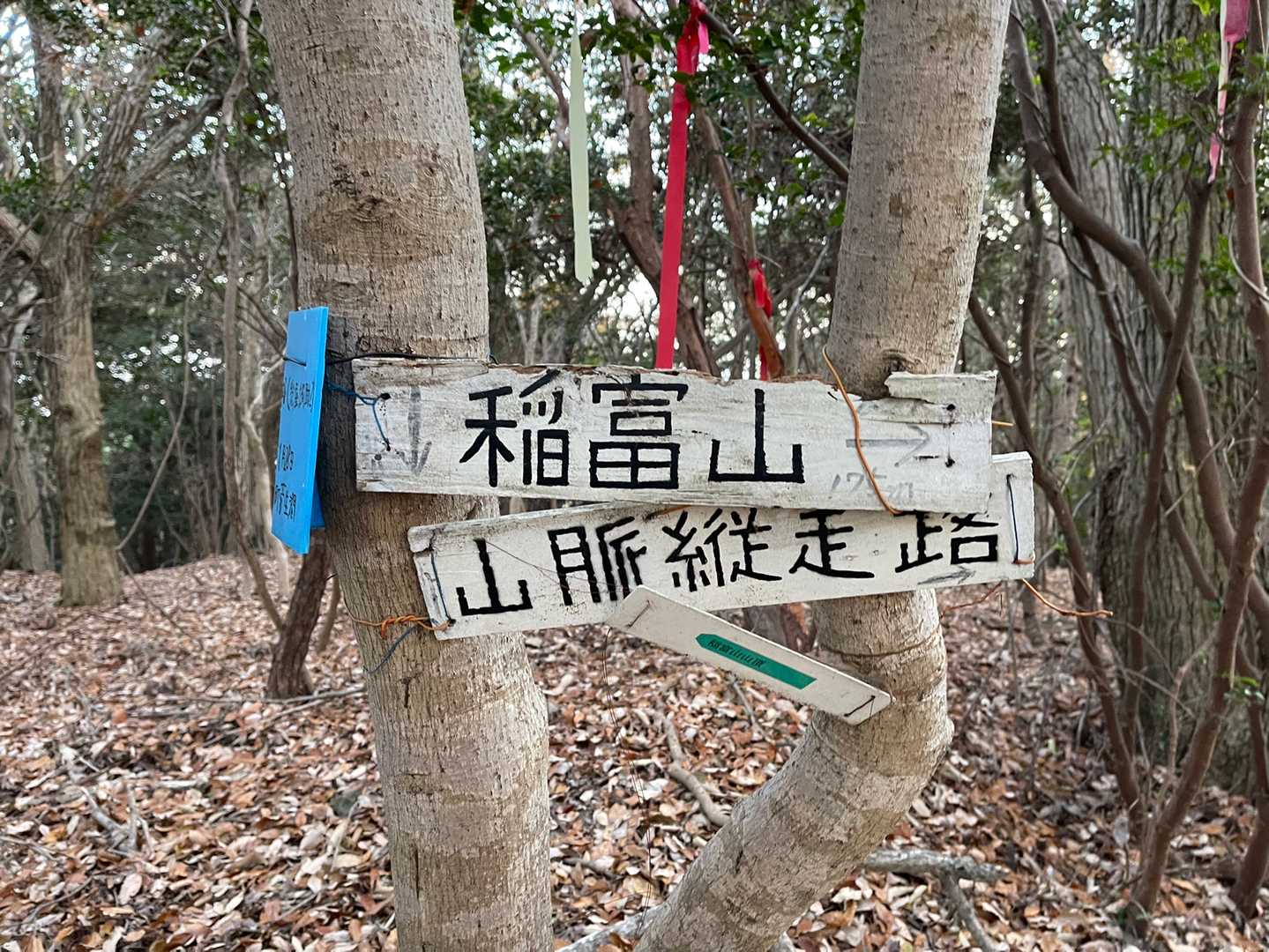 そして稲富山(177m)山頂に到着❗️🙌