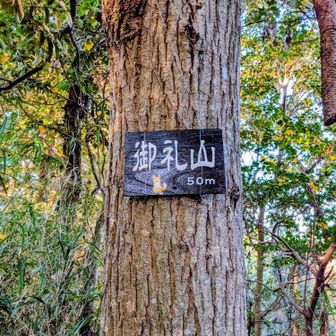 50だからごれーさんぽい