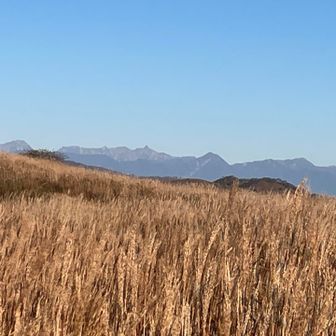 ススキ🌾の先に北アルプス
真ん中に槍ヶ岳