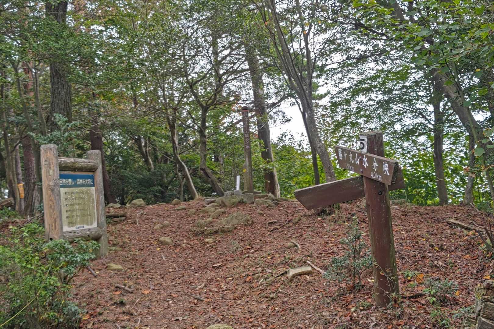 三本木山登山口-藤ヶ丸山-呉娑々宇山北峰-呉娑々宇山 往復コースの写真