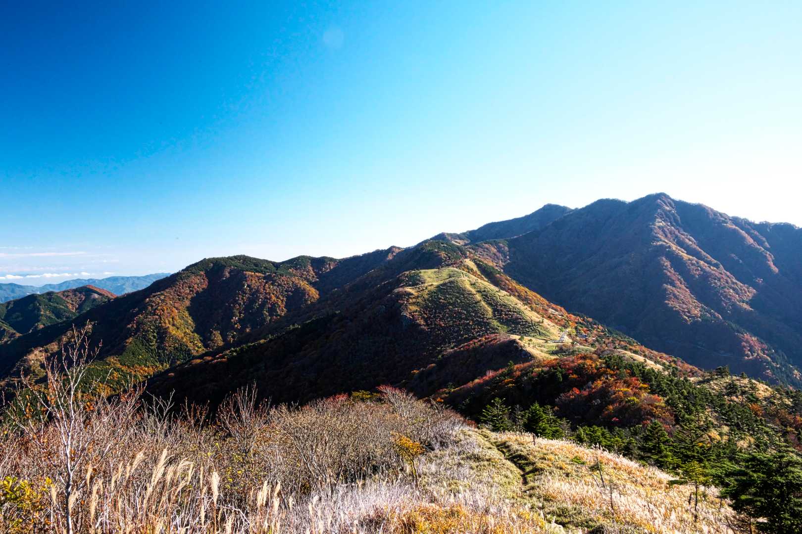 落合峠-落禿-前烏帽子山-寒峰 往復コースの写真