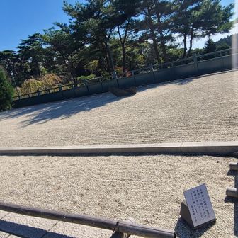 これも枯山水？