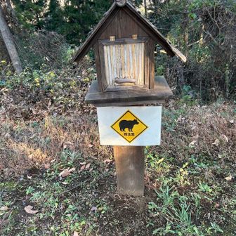 クマ目撃情報？
中はからでした