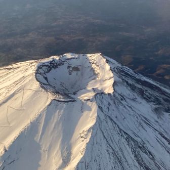 (⌒l´・▲・｀l⌒)ポンタヌ