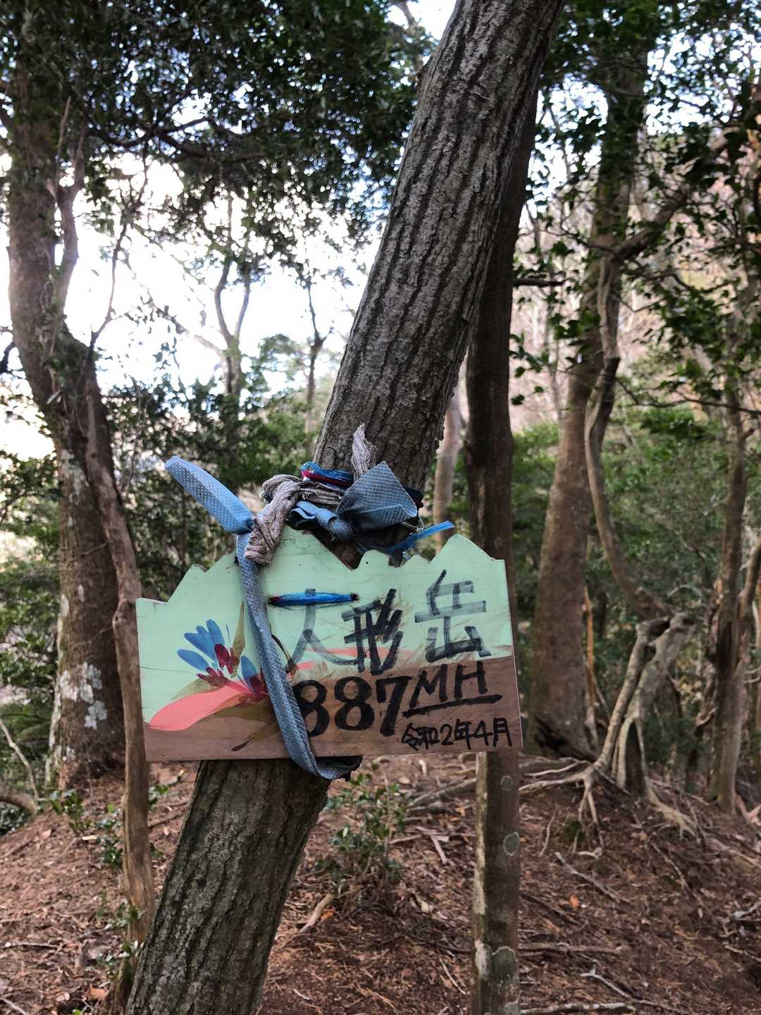 山頂