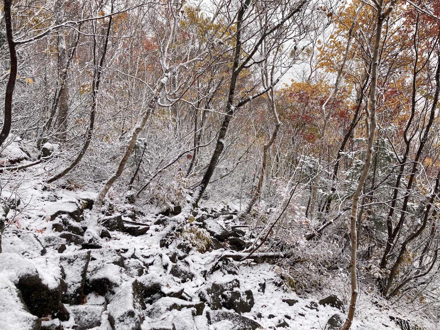 　　　ガレ場に雪が積もり😭😭😭
　　　　　怖い　怖い🥾🥾😱😱