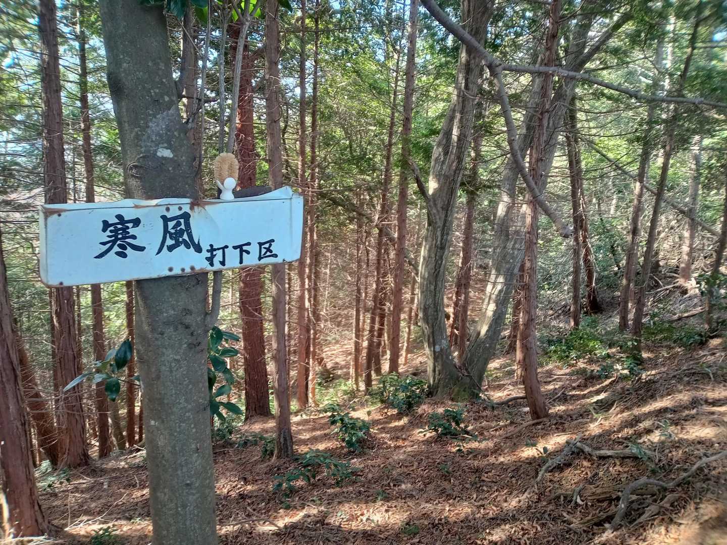 道中の様子