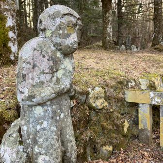 狛犬では無くお猿🐒
初めて見ました😳