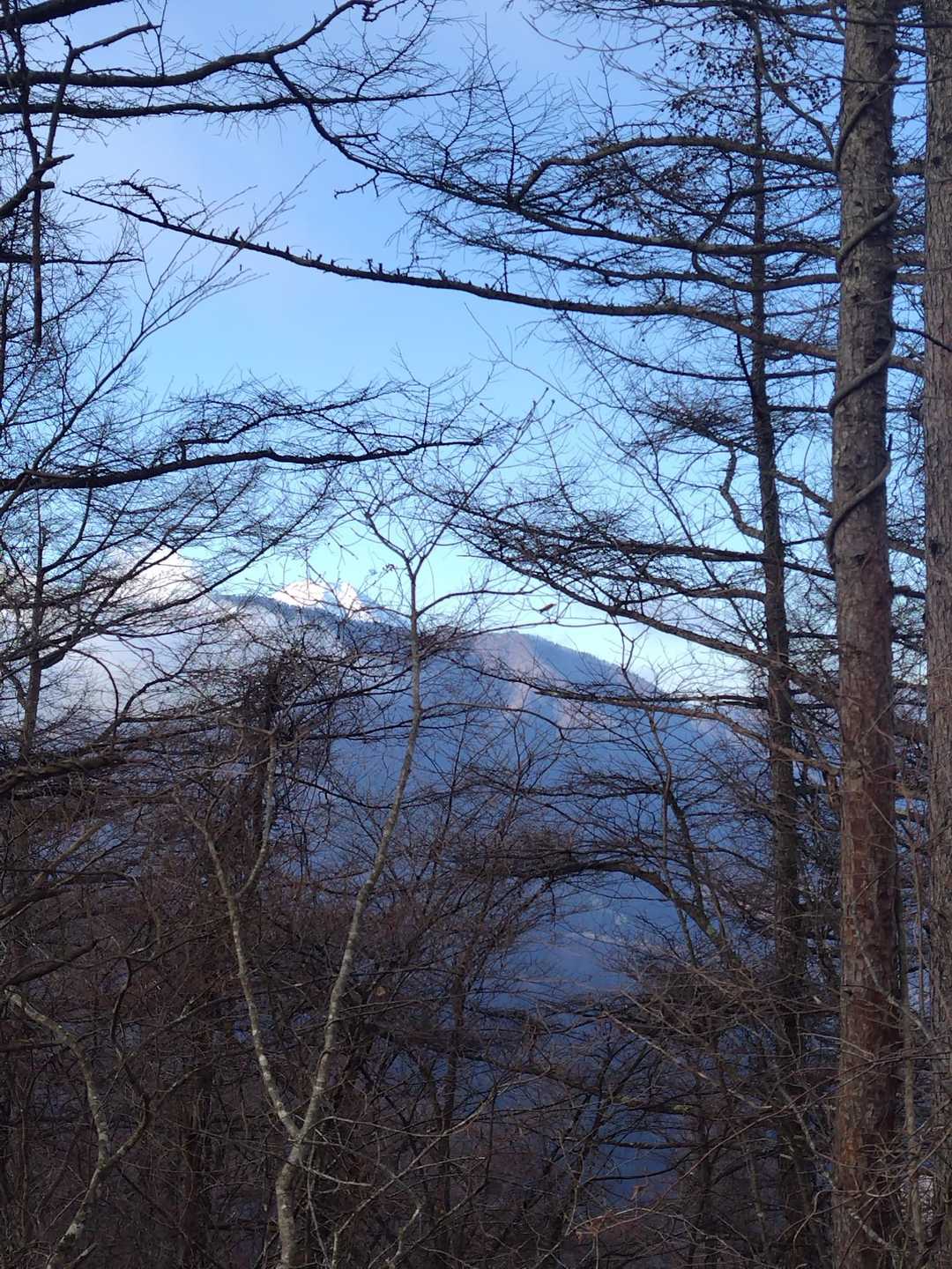 ちらっと富士山🗻。
これが富士山🗻見えた最後だった…
(´×ω×`)