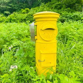前から見たかった黄色のポストに感激
スタッフの皆さん本当にありがとうございました。