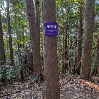 奥天拝
