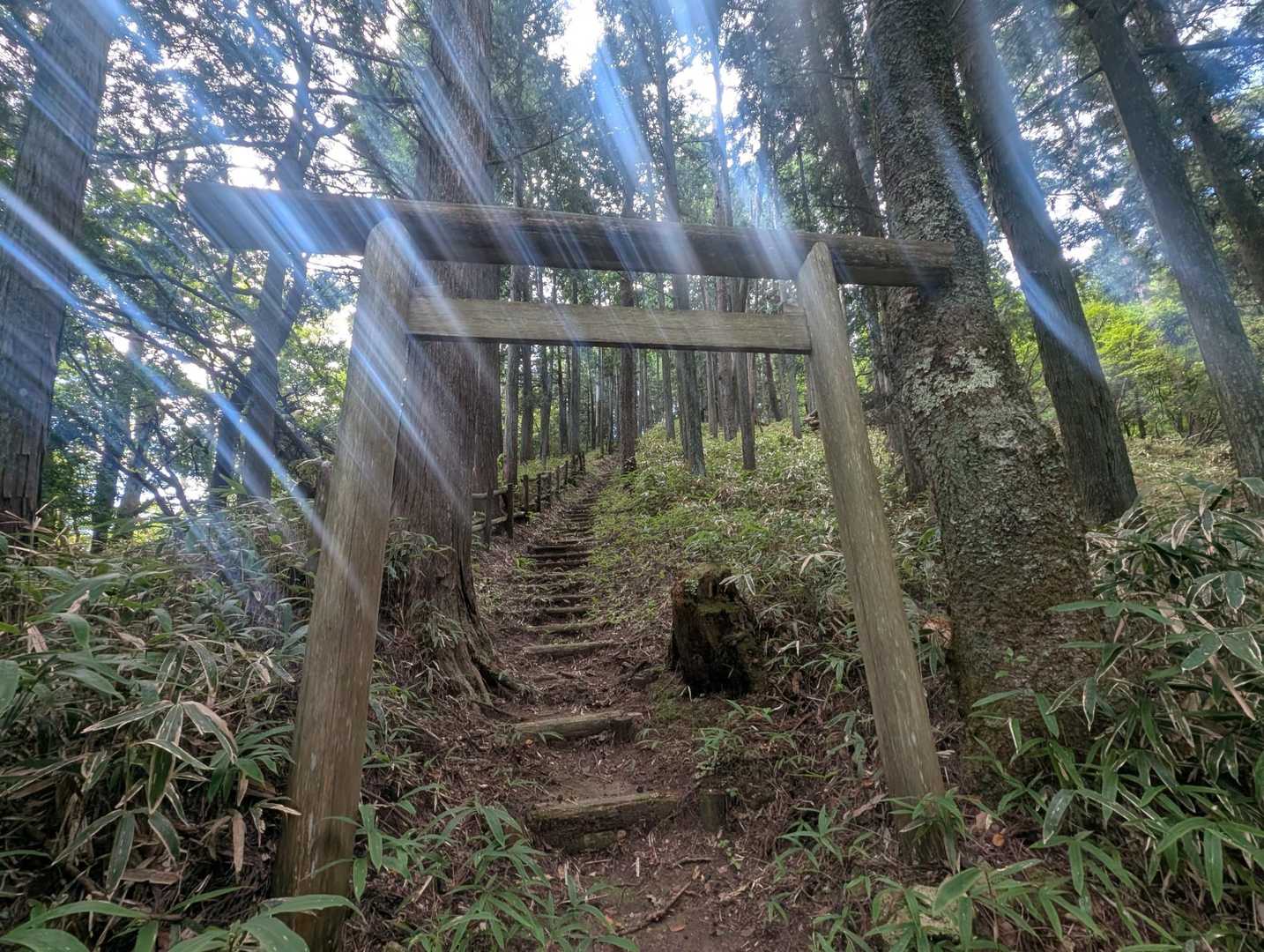 お邪魔します😊