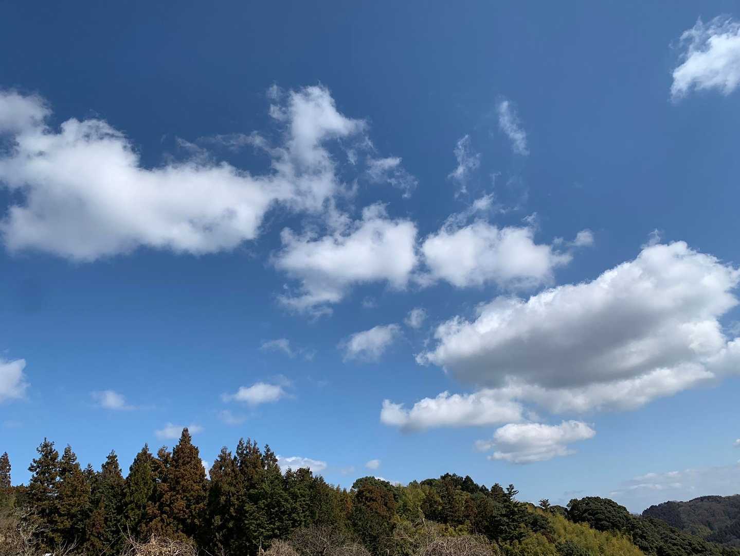 京羅木山-星上山 縦走コースの写真