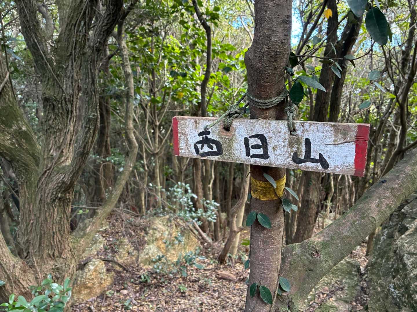 西山-猿田山 往復コースの写真