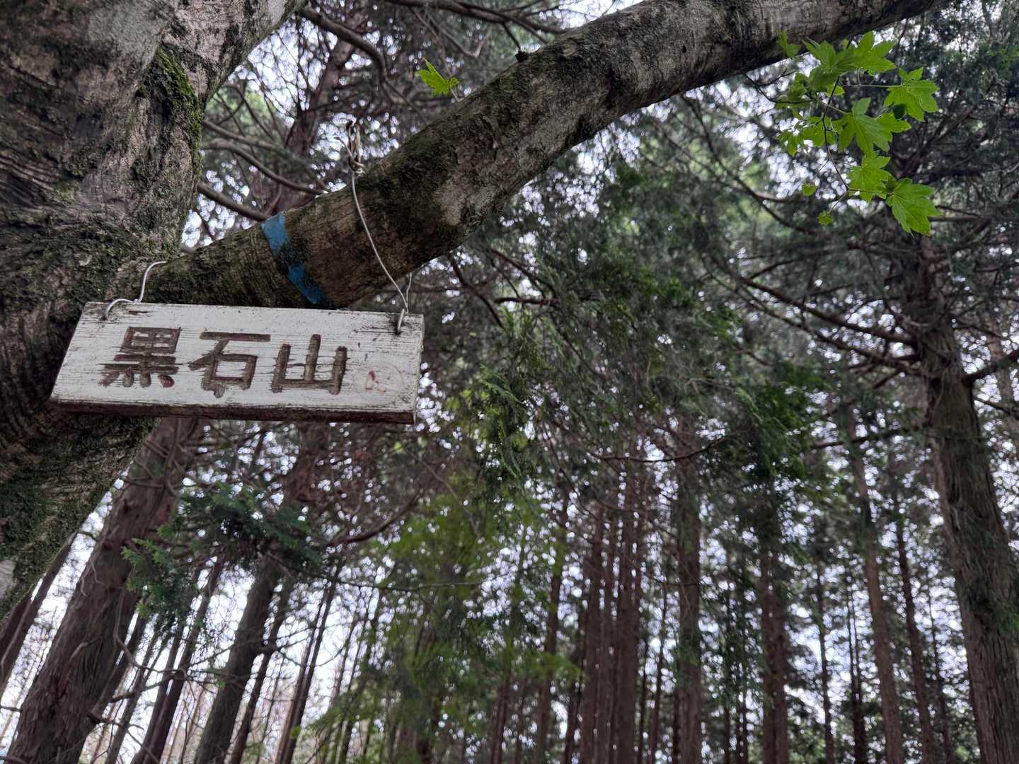 6つ目ピーク、黒石山🚩