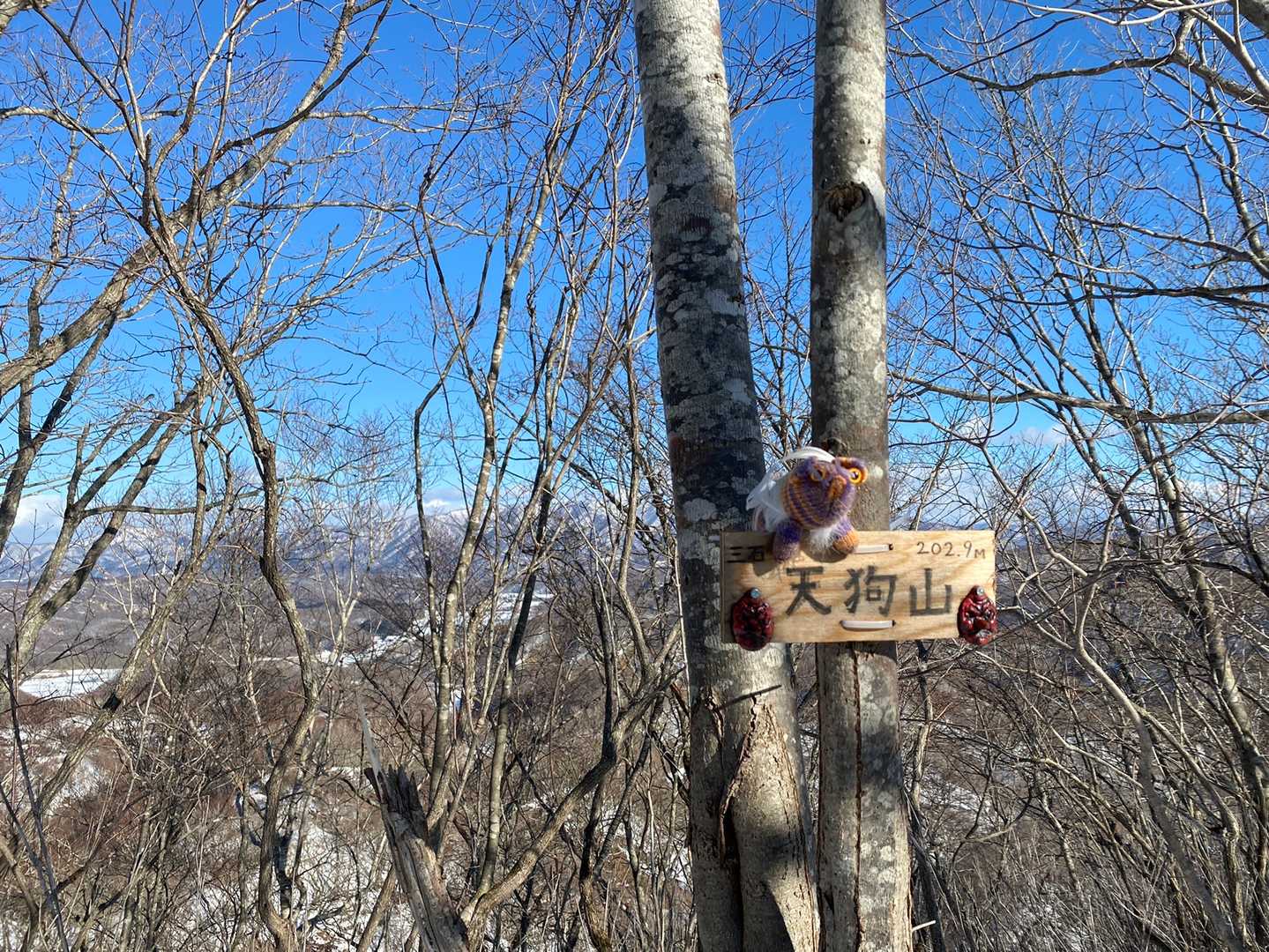 優しい天狗山
二等三角点、点名は天狗山
残念ながら三角点はわからなかった。というか、掘る気なし。