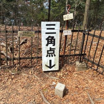 山頂プレートと三角点