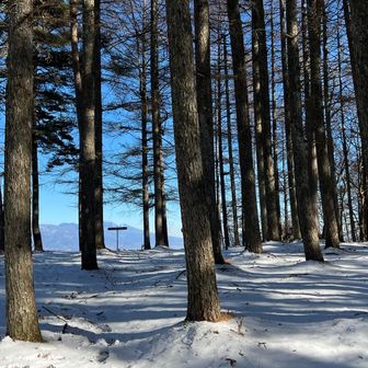 二つの山頂標識と浅間山
