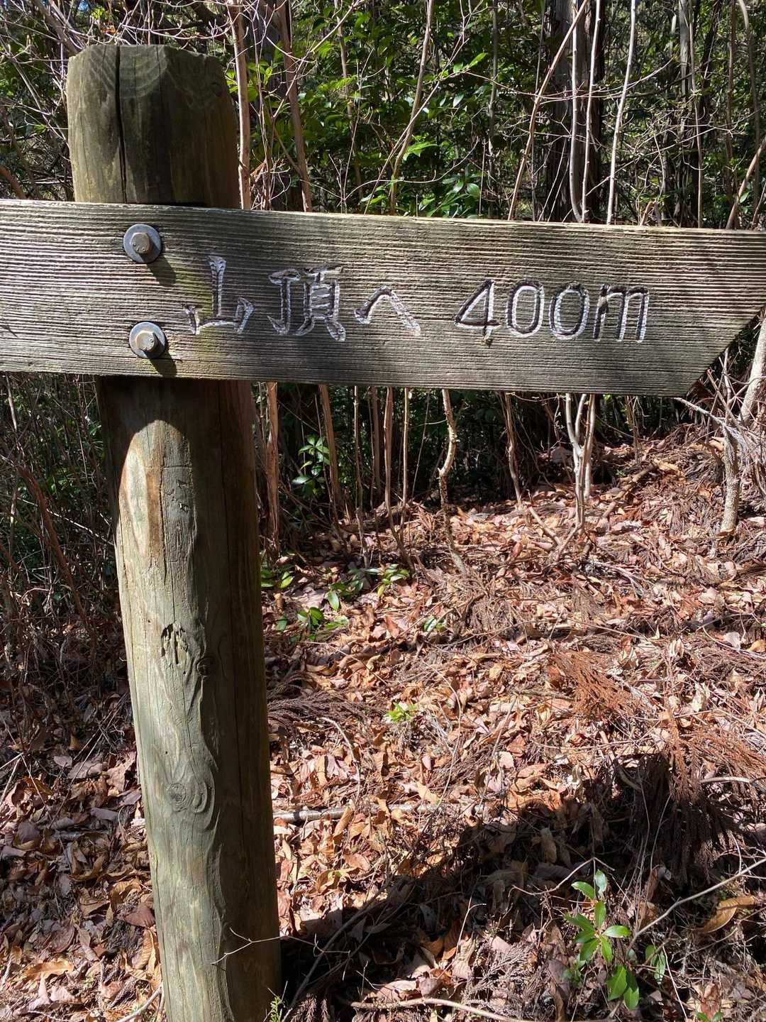 八塔寺山-飯盛山 周回コースの写真
