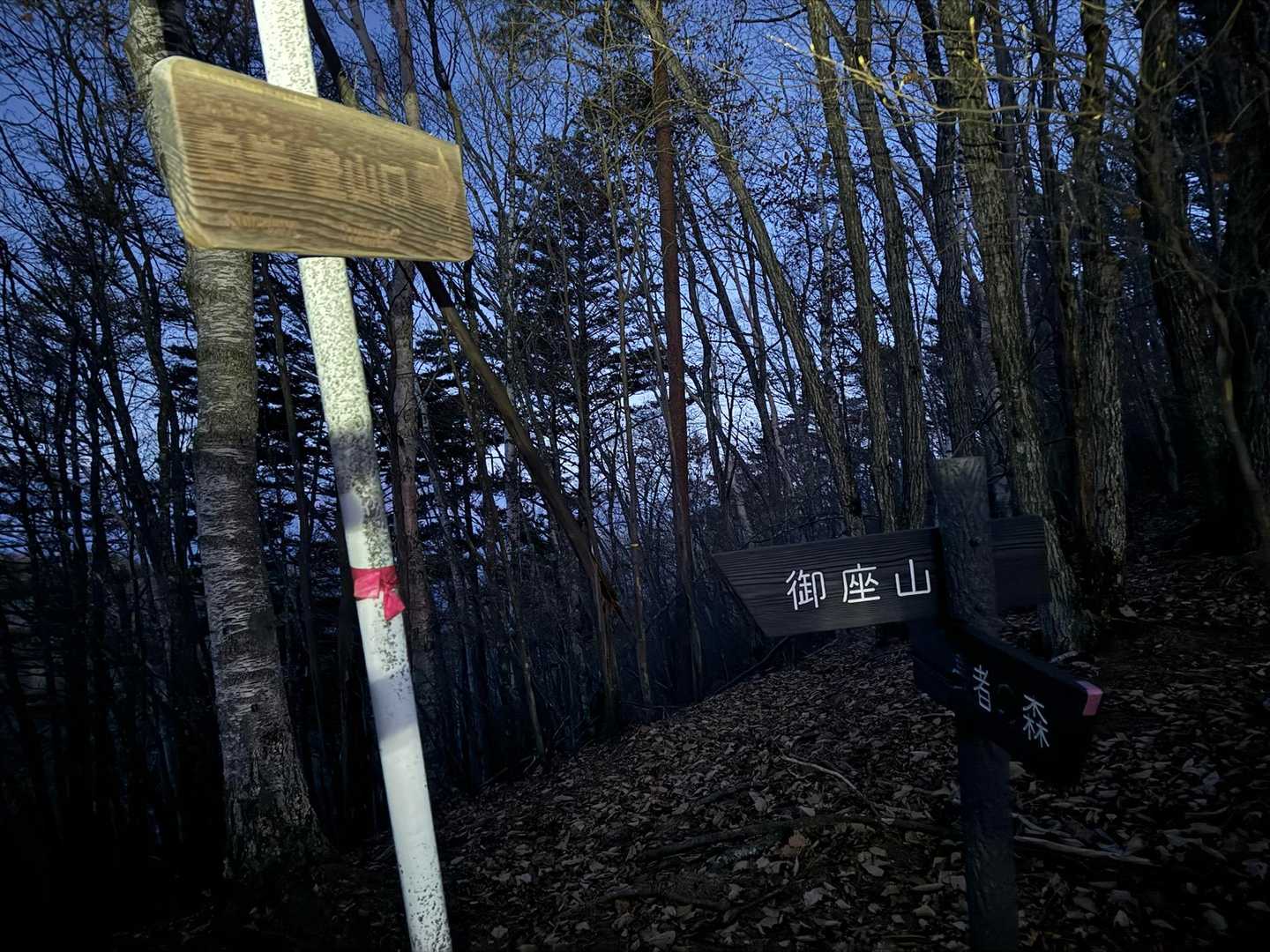 白岩コースとの分岐点。