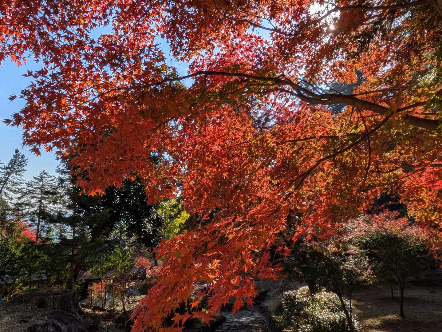 妙義山 往復コースの写真